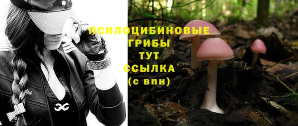 дживик Алексеевка