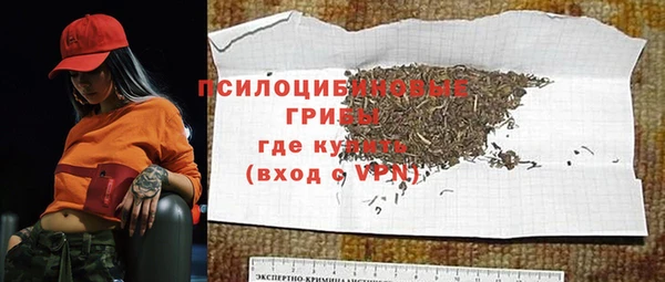 дживик Алексеевка