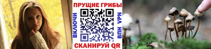 Галлюциногенные грибы MAGIC MUSHROOMS  даркнет сайт  Евпатория 