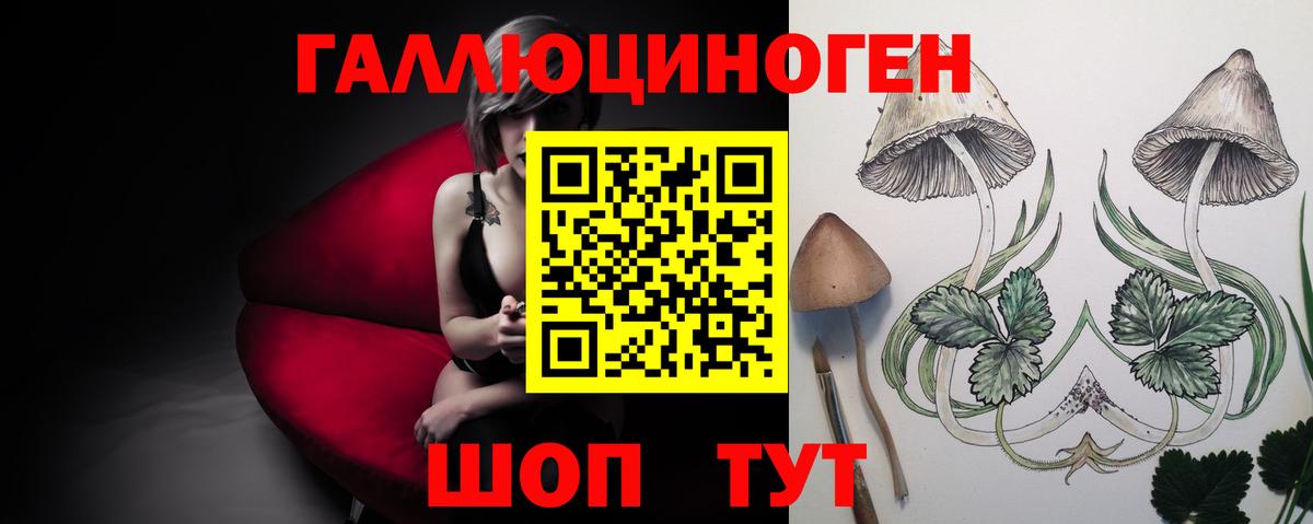 Псилоцибиновые грибы Cubensis  Вход с VPN  Евпатория 