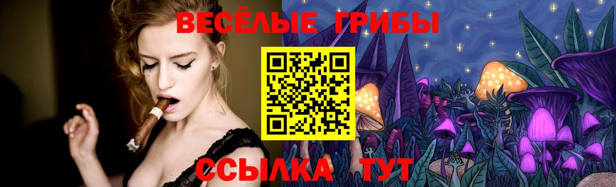 Псилоцибиновые грибы мицелий Евпатория